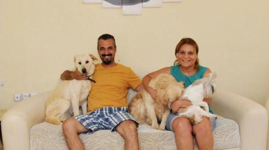 K&ouml;peklere &Ouml;zel Pansiyon