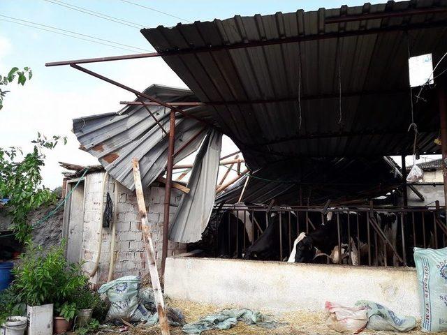 Dereler Taştı, Tarlalar Sular Altında Kaldı 2