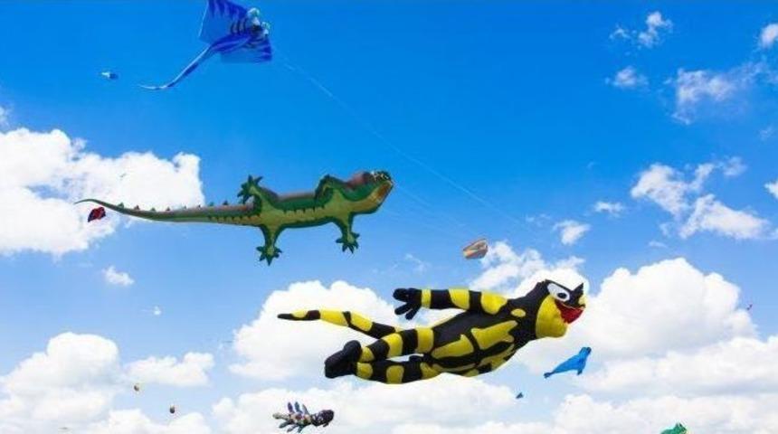 Şahmeran Ukranya Semalarında U&ccedil;tu