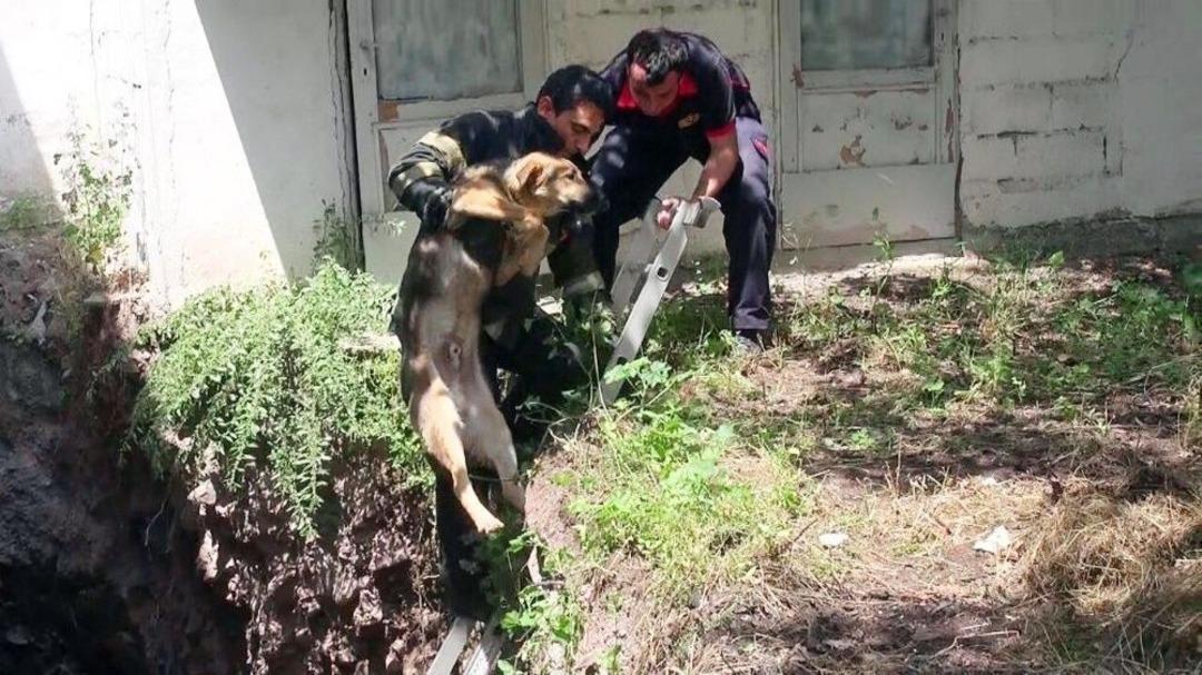İnşaatın Temeline D&uuml;şen K&ouml;peklere İtfaiye M&uuml;dahale Etti