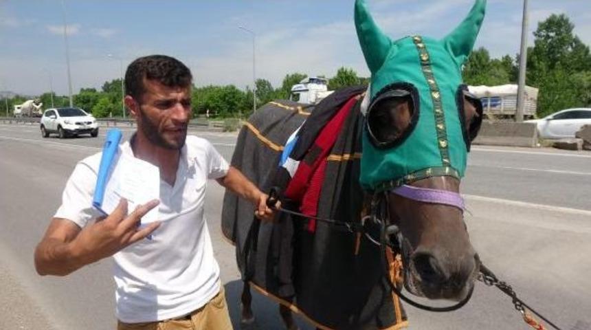 &Uuml;ye Olmayınca Atı Hipodroma Alınmadı