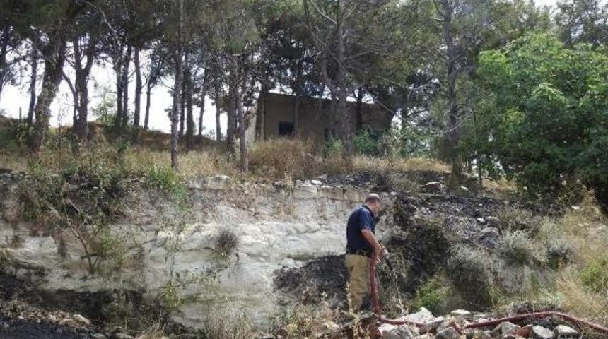 &Ccedil;eşme'de Korkutan Yangın