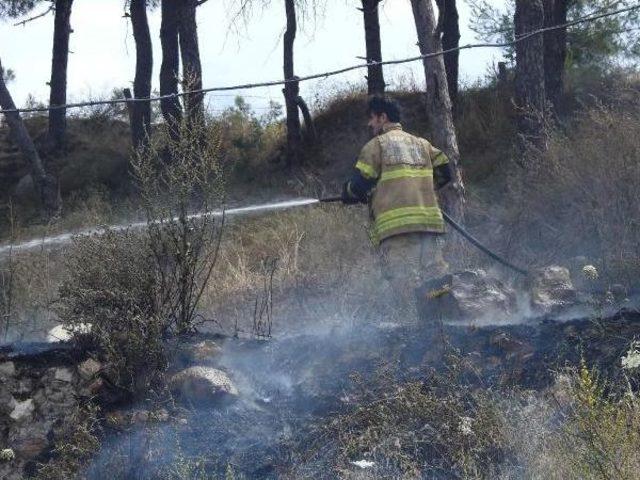 Çeşme'de Korkutan Yangın