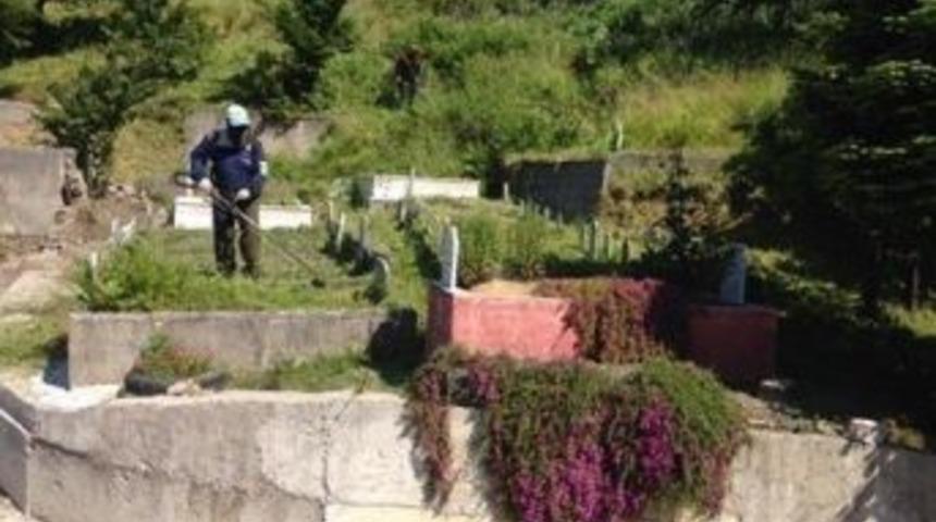 Kozlu&rsquo;da Mezarlıklar Temizlendi