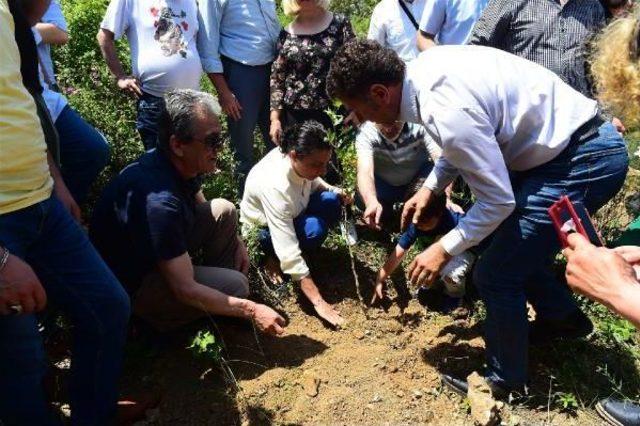 Nazım Hikmet’E ‘Müşküle’De Özel Anma