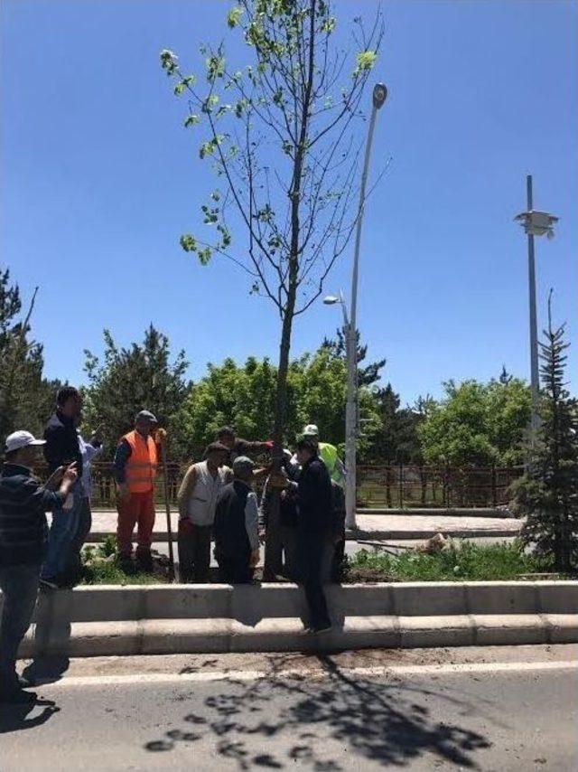 Vali Işın, Çalışmaları Yerinde İnceliyor