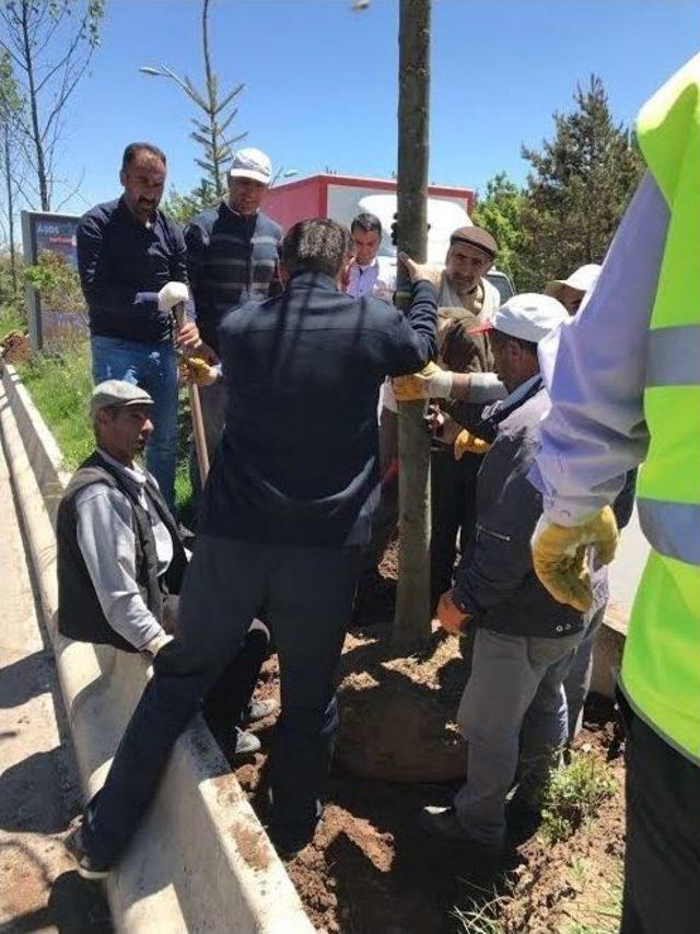 Vali Işın, Çalışmaları Yerinde İnceliyor