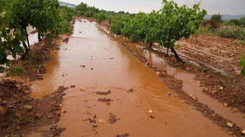 Denizli&rsquo;de Sağanak Ve Dolu Tarlalara Zarar Verdi