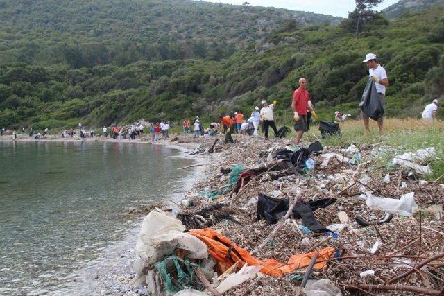 Milli Parktan Ne Ararsan Çıktı