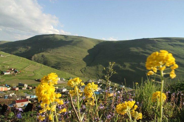 "atatürk Silüeti" Görülmeye Başlandı G3