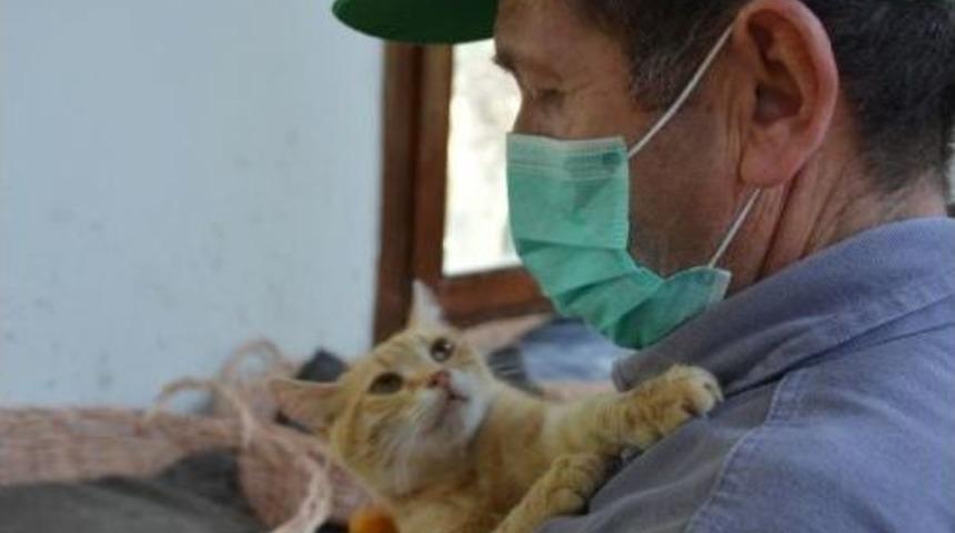 Bu Villalar Kedilere &Ouml;zel