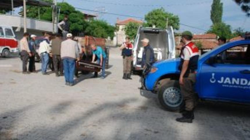 Kestiği Ağacın Altında Kaldı