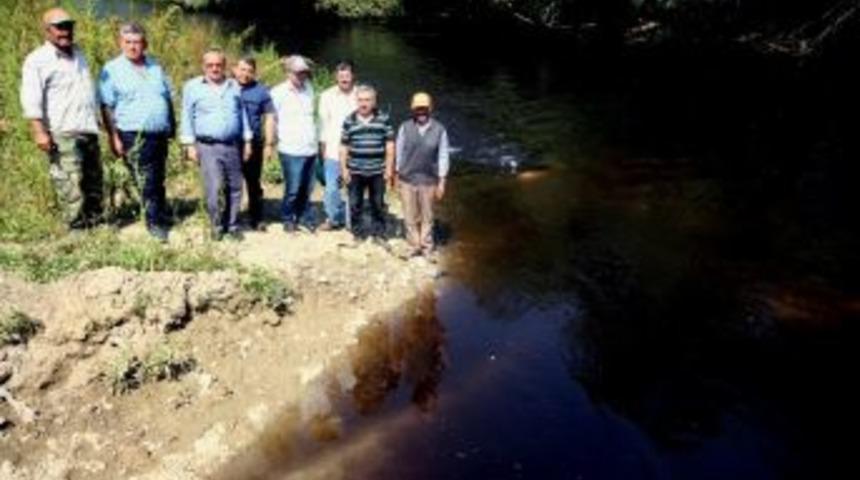 Binlerce D&ouml;n&uuml;m Arazinin Sulandığı Dere Kirli Akmaya Başladı