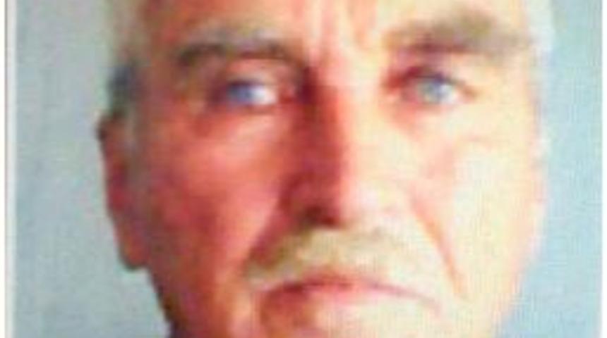 Kestiği Kavak Ağacının Altına Kalan &Ccedil;ift&ccedil;i &Ouml;ld&uuml;