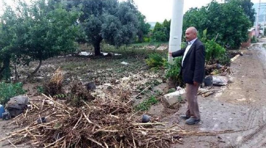 Dolu Ve Sağnak Yağmur, Tarım Arazilerini Ve Fidanlıkları Vurdu