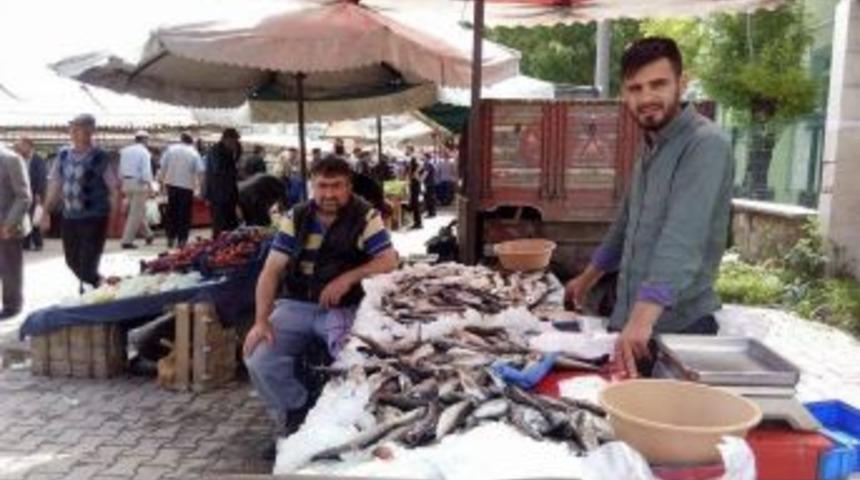 Ramazan Geldi, Balık Fiyatları D&uuml;şt&uuml;