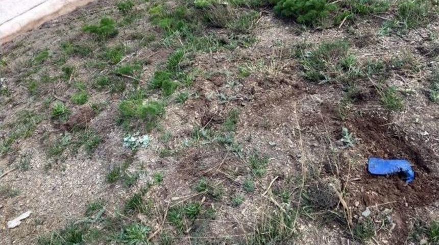 Y&uuml;ksekova Domuztepe B&ouml;lgesinde Bulunan 5 Adet El Yapımı Patlayıcı İmha Edildi