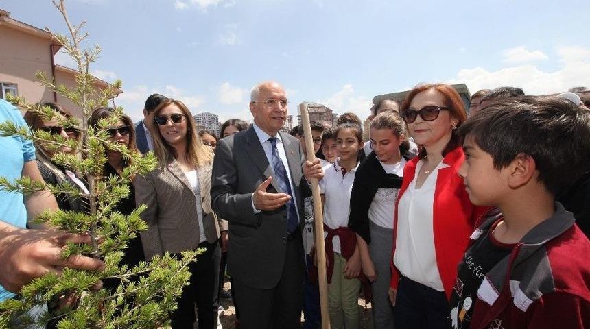 Yenimahalle&rsquo;de Har&ccedil;lıklar &Ccedil;am Fidanına D&ouml;n&uuml;şt&uuml;