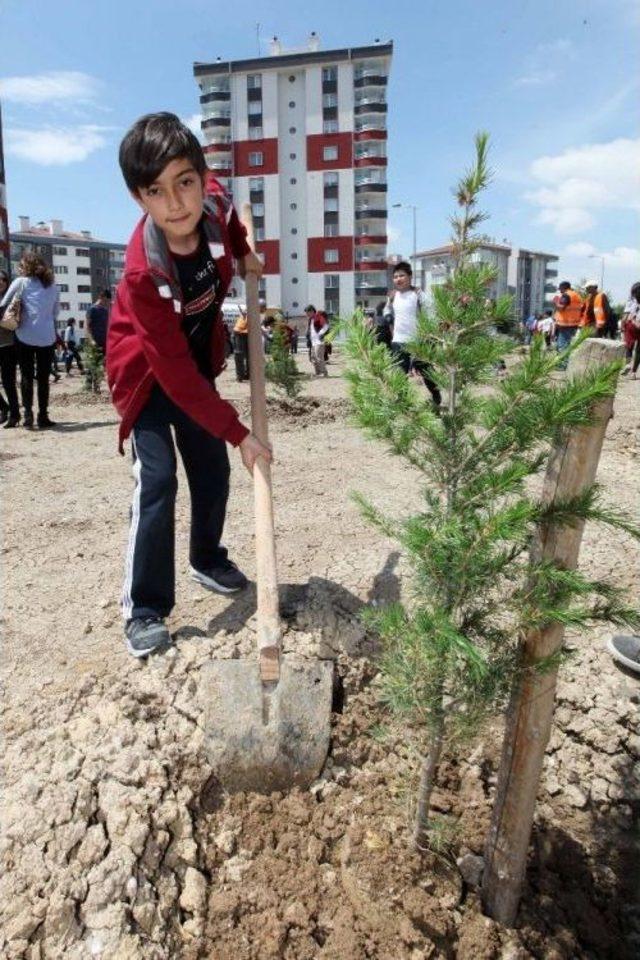 Yenimahalle&rsquo;de Har&ccedil;lıklar &Ccedil;am Fidanına D&ouml;n&uuml;şt&uuml; 1
