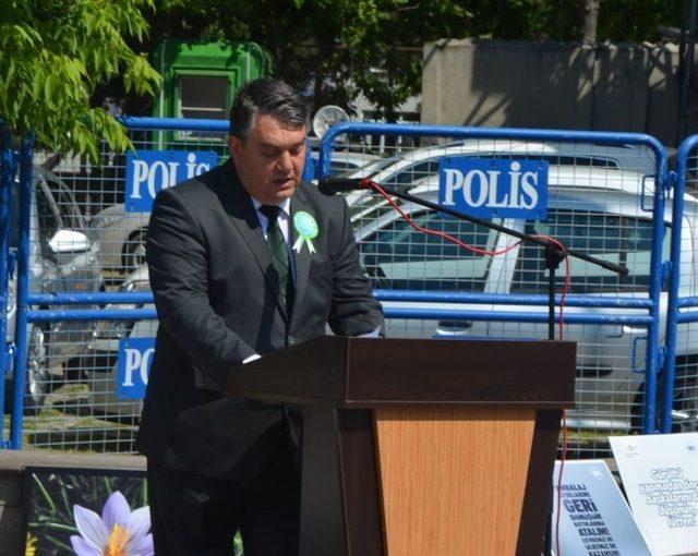 Sinop&rsquo;ta &Ccedil;evre Haftası Etkinlikleri 1