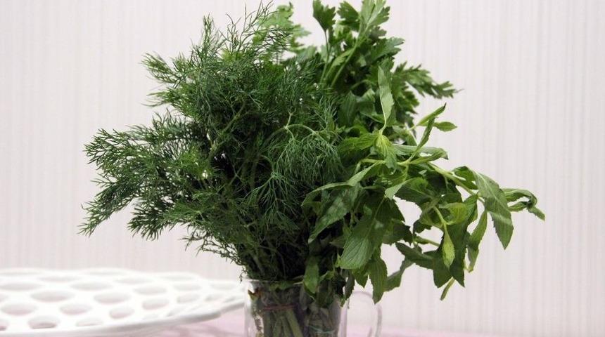 A&ccedil;lığa Karşı Nane, Susuzluğa Salatalık