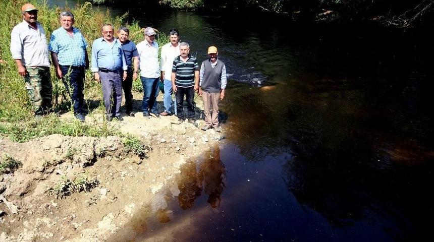 Binlerce D&ouml;n&uuml;m Arazinin Sulandığı Dere Zehir Akıyor