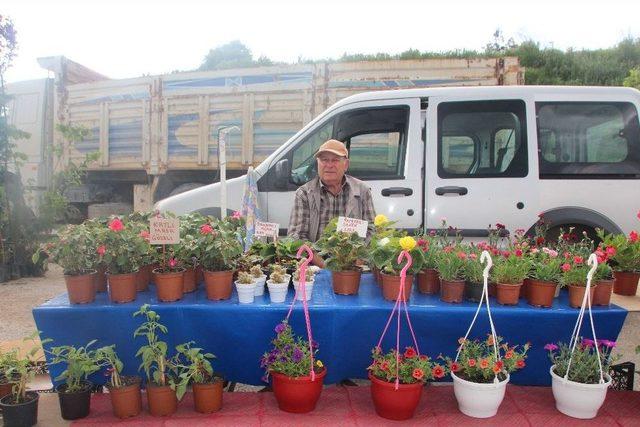 Bah&ccedil;e &Ccedil;i&ccedil;eklerine Yoğun İlgi 1