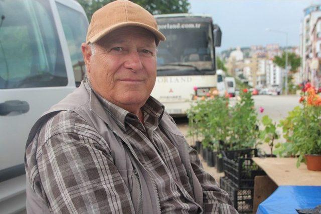 Bah&ccedil;e &Ccedil;i&ccedil;eklerine Yoğun İlgi 2