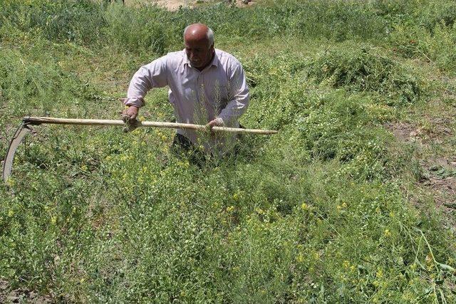 Engelli Vatandaş Engel Tanımıyor 3