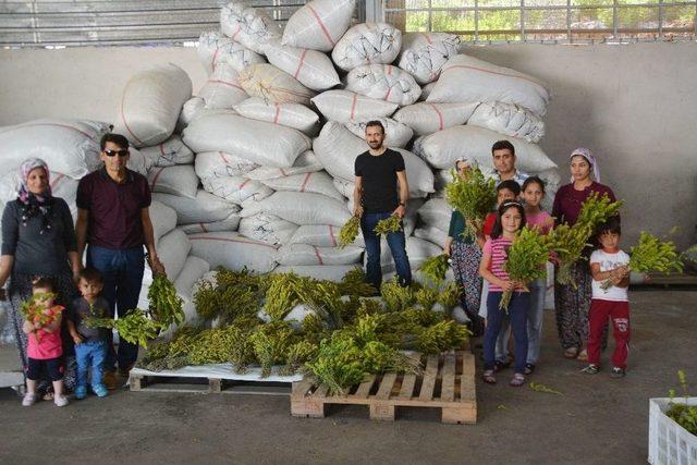 Kıra&ccedil; Topraktan Yılda 40 Bin Lira Kazanıyor 1