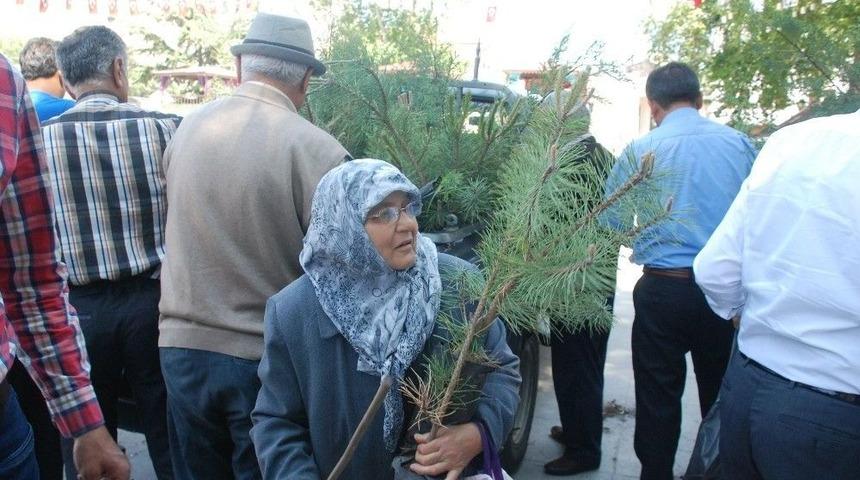 &Ccedil;evre G&uuml;n&uuml;nde Halka Fidan Dağıtıldı
