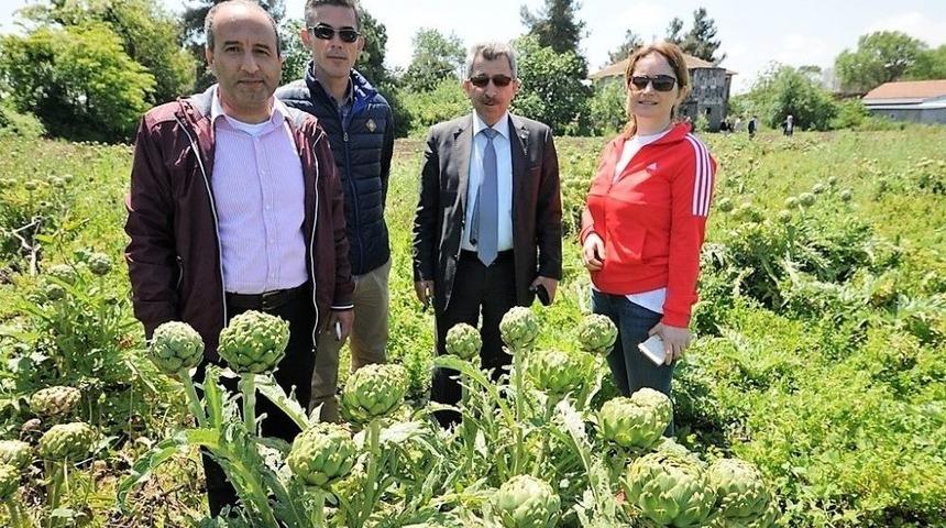 Cansuyu Desteği Y&uuml;z G&uuml;ld&uuml;rd&uuml;