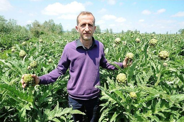 Cansuyu Desteği Yüz Güldürdü