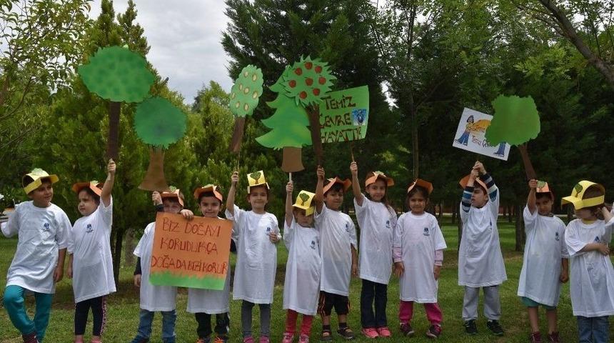 Önce Fidan Diktiler Ardında Çevreyi Temizlediler