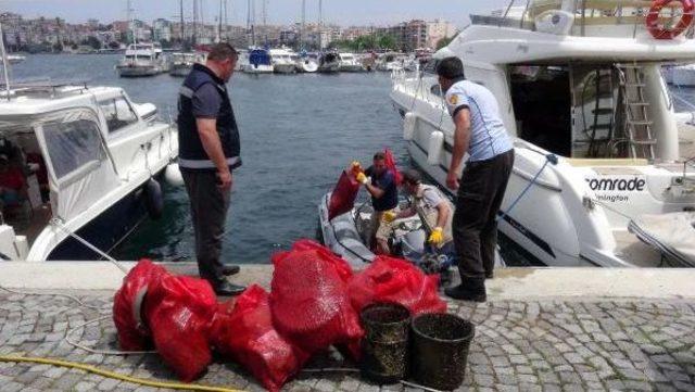 Çanakkale Yat Limanında Deniz Dibi Temizliği