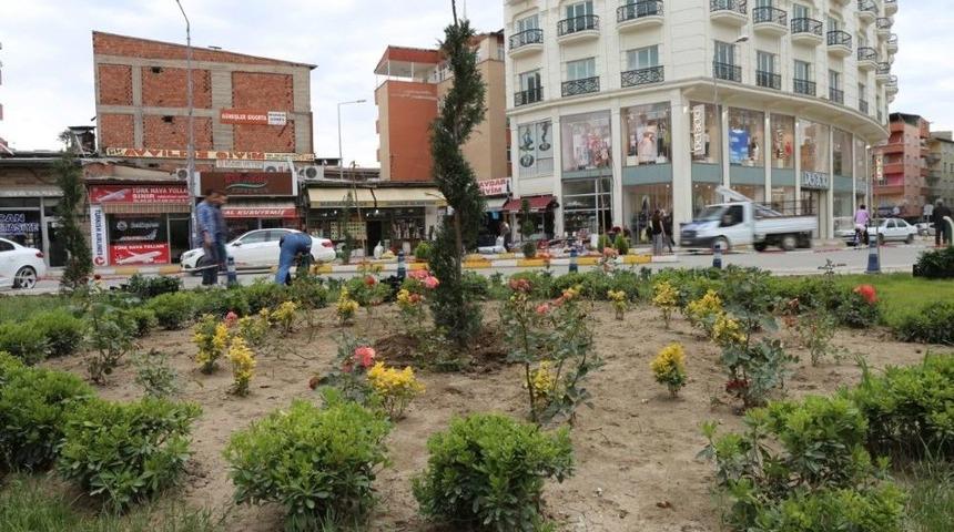 Iğdır Belediyesi&rsquo;nden Yeşillendirme &Ccedil;alışmaları