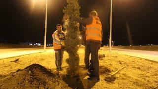 İftar Sonrası Ağaç Dikimi