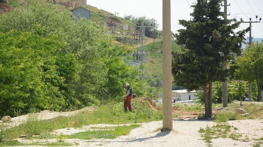 Dinar&rsquo;da Yabani Ot Temizlik &Ccedil;alışmaları Devam Ediyor
