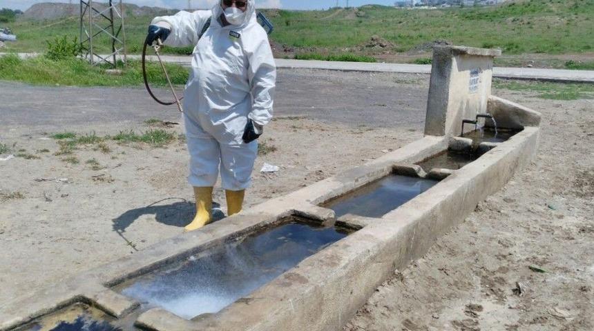 S&uuml;leymanpaşa Belediyesi Larva M&uuml;cadelesine Devam Ediyor