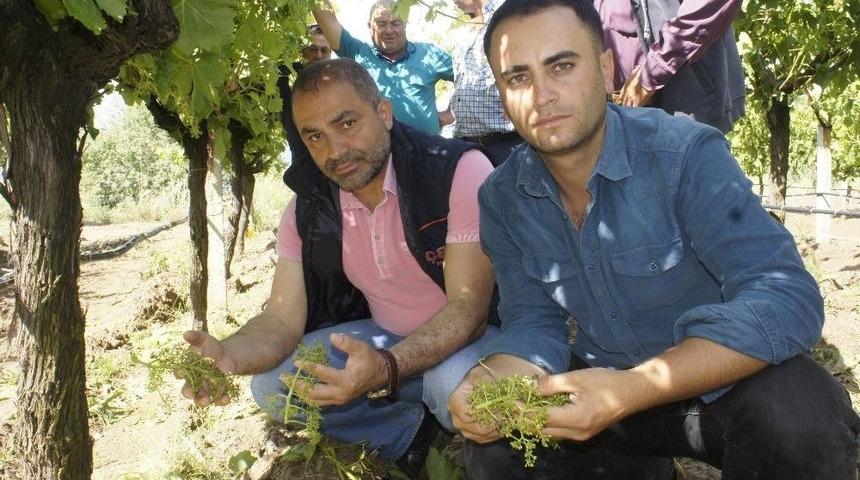 Manisalı &Ccedil;ift&ccedil;iyi Dolu Vurdu