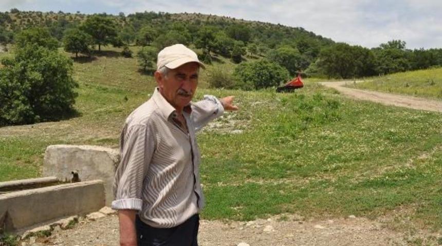 8 K&ouml;peğin Telef Olduğu K&ouml;ye Fotokapan Kurulacak