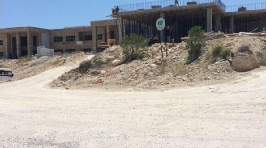 Mersin &Uuml;niversitesi&rsquo;nde Orman Kıyımı İddiası