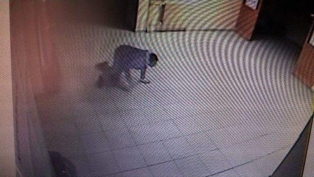 Bu Da Sürünerek Hırsızlık 2