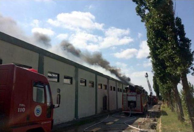 Tekirdağ'da Fabrika Yangını (1)