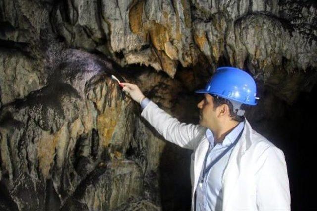 Mağara Diş Fırçasıyla Temizleniyor