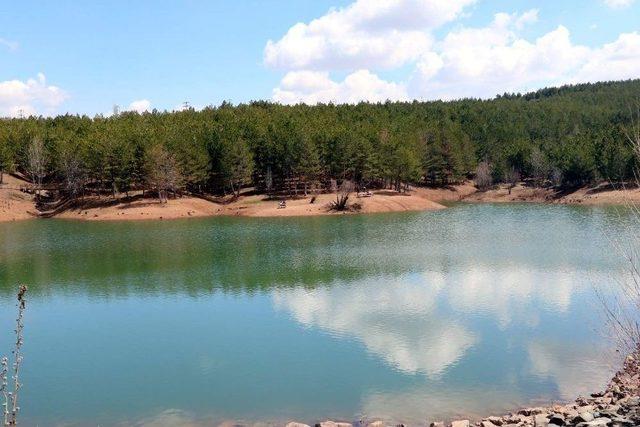 Çamlık Milli Parkı, Sosyal Yaşam Merkezi Haline Dönüşüyor