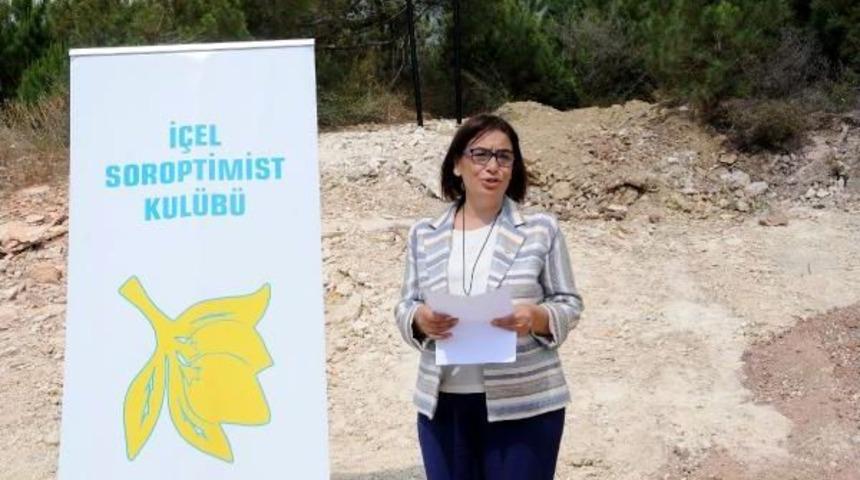 Mersin'de Hatıra Ormanı Kıyımı Iddiası