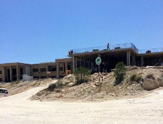 Mersin de Hatıra Ormanı Kıyımı Iddiası 1