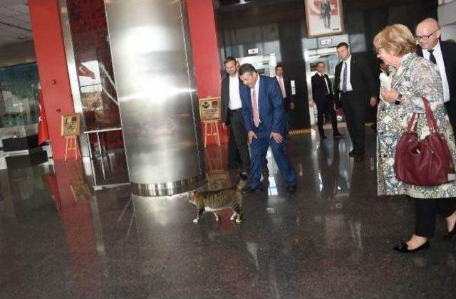 Kılıçdaroğlu, Almanya Dışişleri Bakanı Gabriel'i Kabul Etti (2)