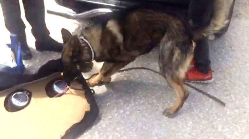 Bady Zehir Tacirlerine G&ouml;z A&ccedil;tırmıyor